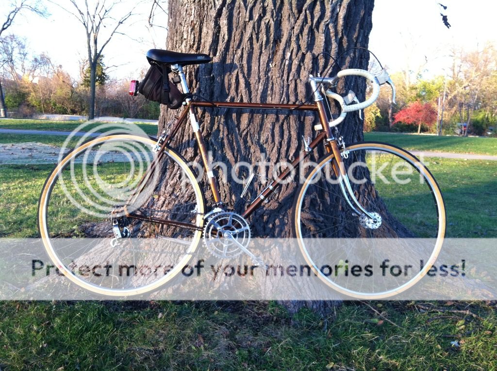 Raleigh? Carlton? What have I got here? - Bike Forums